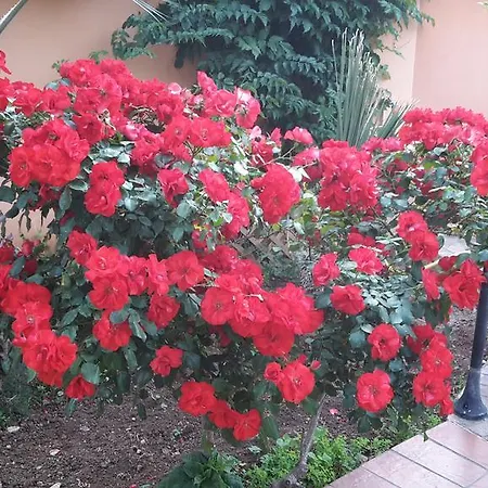 Апартаменты Salvatore